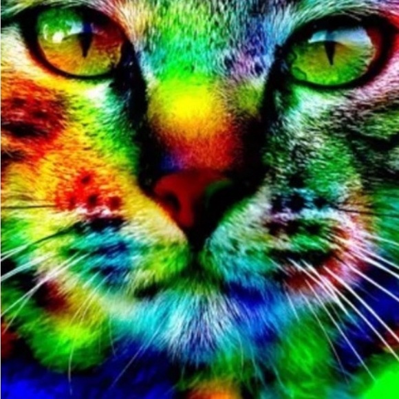 COPY - 🆕 PSYCADELIC KITTY CAT BACKPACK BOOKBAG BAG NWT - Picture 11 of 15